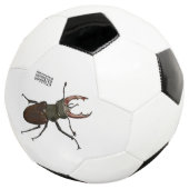 Illustration du scarabée de stade (3/4)