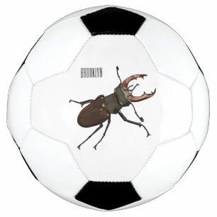 Illustration du scarabée de stade