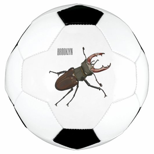 Illustration du scarabée de stade (Devant)