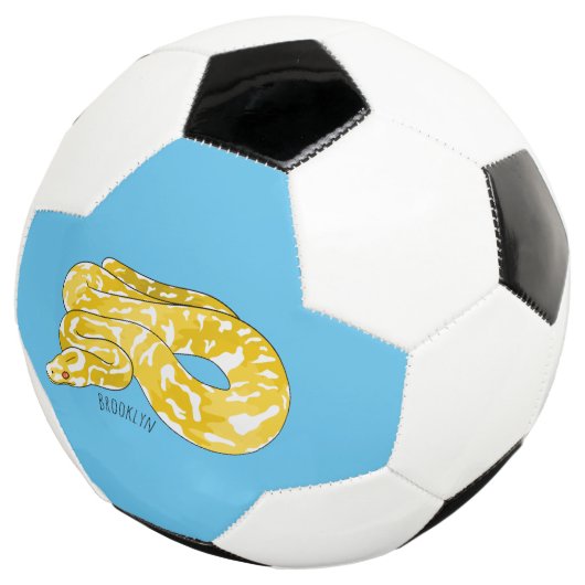 Illustration du serpent python birman (3/4)