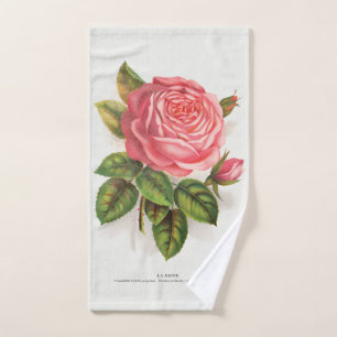 Illustration Florale Rose Rose Antique Cottagecore