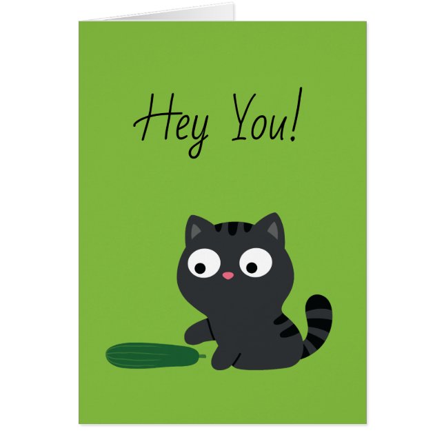 Illustration Kitty et Cucumber (Devant)