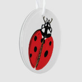 Illustration Lady Bug (devant)