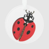 Illustration Lady Bug (dos)