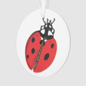 Illustration Lady Bug (devant)