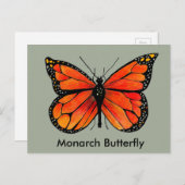 Illustration Monarch Butterfly sur carte postale (Devant / Derrière)