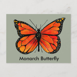Illustration Monarch Butterfly sur carte postale