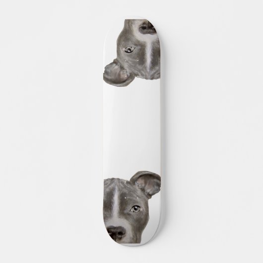 Illustration Pitbull Skateboard par miart (Devant)