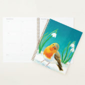 Illustration Red Robin Early Spring Snowdrops (Devant avec enveloppe)