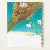 Illustration Red Robin Early Spring Snowdrops (Dos)