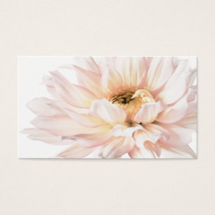 Illustration rose de dahlia - personnaliser