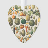 Illustration scientifique végétale des fruits (devant)