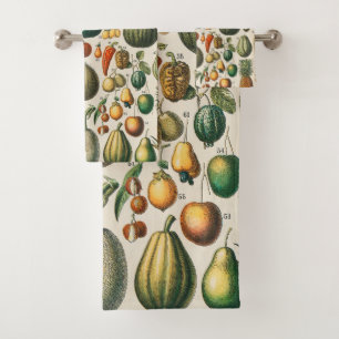 Illustration scientifique végétale des fruits