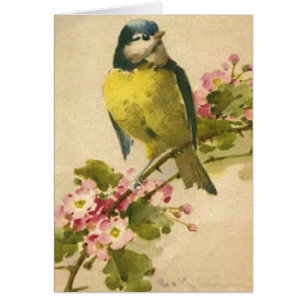 Illustration victorienne d'oiseau