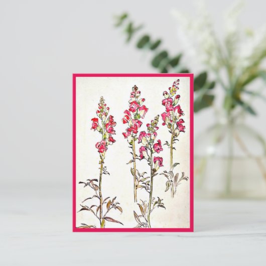 Illustration Vintage Carte Postale-Beatrix Potter  (Debout devant)