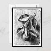 Illustration Vintage Carte Postale-Beatrix Potter  (Devant / Derrière)