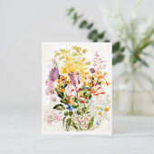 Illustration Vintage Carte Postale-Beatrix Potter (Debout devant)