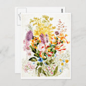 Illustration Vintage Carte Postale-Beatrix Potter (Devant / Derrière)