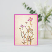 Illustration Vintage Carte Postale-Beatrix Potter (Debout devant)