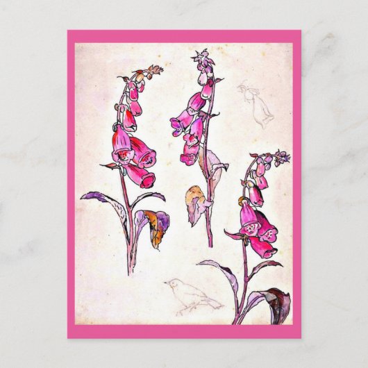 Illustration Vintage carte postale-Beatrix Potter (Devant)