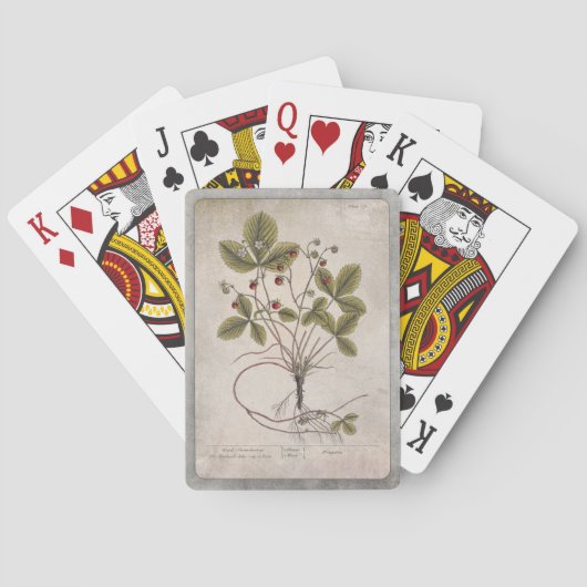 Illustration vintage Cartes de Jeu - Fraise (dos)
