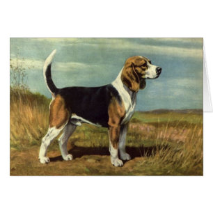 Illustration vintage - chien de beagle,
