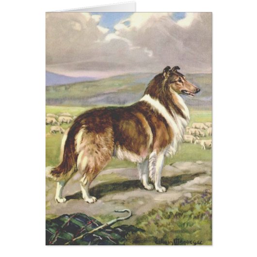 Illustration vintage - chien rugueux de colley, (Devant)