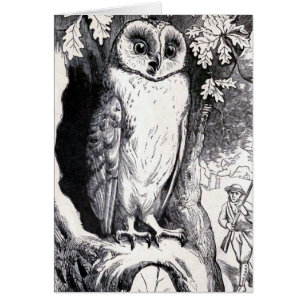 Illustration vintage de "hibou"