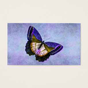 Illustration vintage de papillon de pourpre et