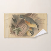 Illustration vintage de sittelle (Serviette à main)