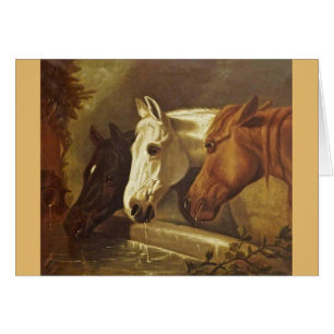 Illustration vintage - trio des chevaux,