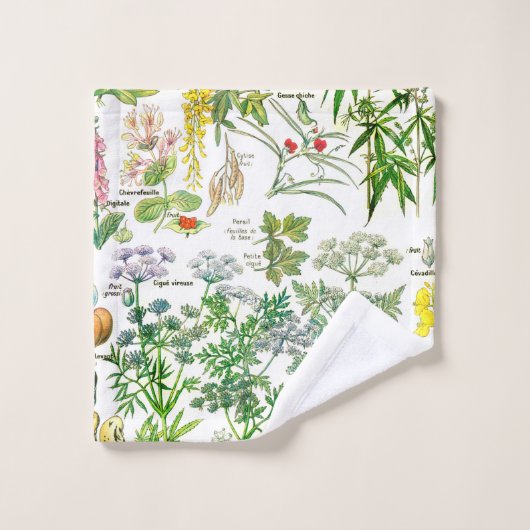 Illustrations botaniques (Gant de toilette)