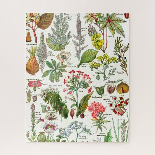 Illustrations botaniques Jigsaw Puzzle (Vertical)