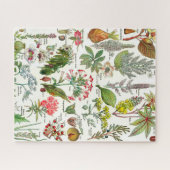 Illustrations botaniques Jigsaw Puzzle (Horizontal)