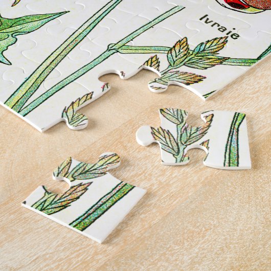 Illustrations botaniques Jigsaw Puzzle (Côté)