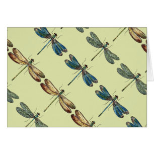 Illustrations de libellule