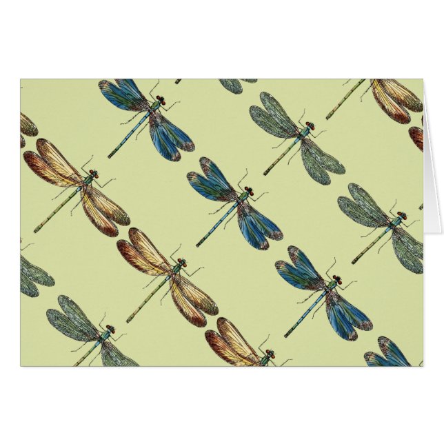 Illustrations de libellule (Devant horizontal)