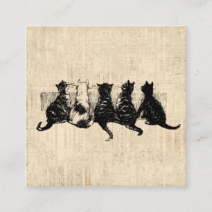 Illustreerde Kittens met Tan Script-achtergrond Informatiekaartje