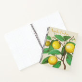 Illustreerde Lemon Branch met het Bullet Journal v Notitieboek (Binnen)