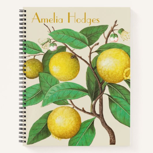 Illustreerde Lemon Branch met het Bullet Journal v Notitieboek (Voorkant)