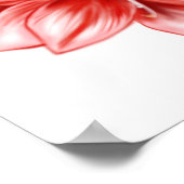 Illustreerde roze en witte amaryllis poster (Hoek)