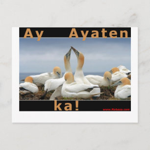 Ilocano Collecties Arubub, Jones, Isabela Briefkaart