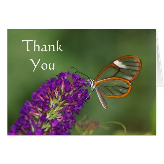 Ils m'appellent le Merci de l'aile claire (Devant horizontal)