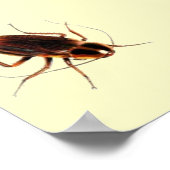 ILS VIENNENT DU DRAIN - Poster de cafard effrayant (Coin)