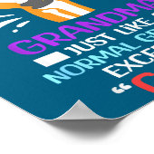 I'm A Bionic Grandma Funny Quote For Cool Grandmot Poster (Hoek)