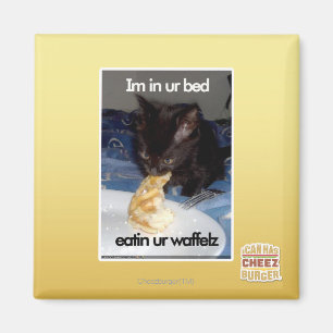 Im in ons bed magneet