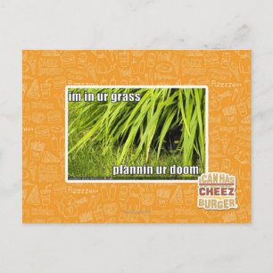 im in ons gras briefkaart