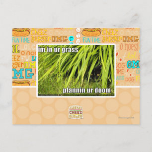 im in ons gras briefkaart