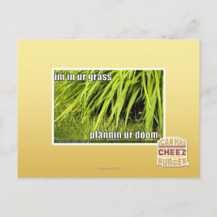 im in ons gras briefkaart