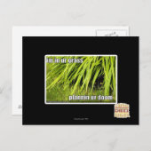 im in ons gras briefkaart (Voorkant / Achterkant)